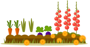 Costruiamo insieme  il nostro orto