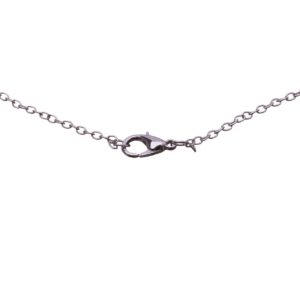 Chiusura Ufficio Anagrafe lunedi’ pomeriggio 9/06/2025